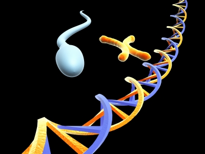 trapianto cellule staminali,trapianto cellule staminali sla,trapianto cellule staminali retina,trapianto cellule staminali rischi